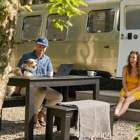 Autocamp Catskills ซอเกอร์ทีส์ ภายนอก รูปภาพ